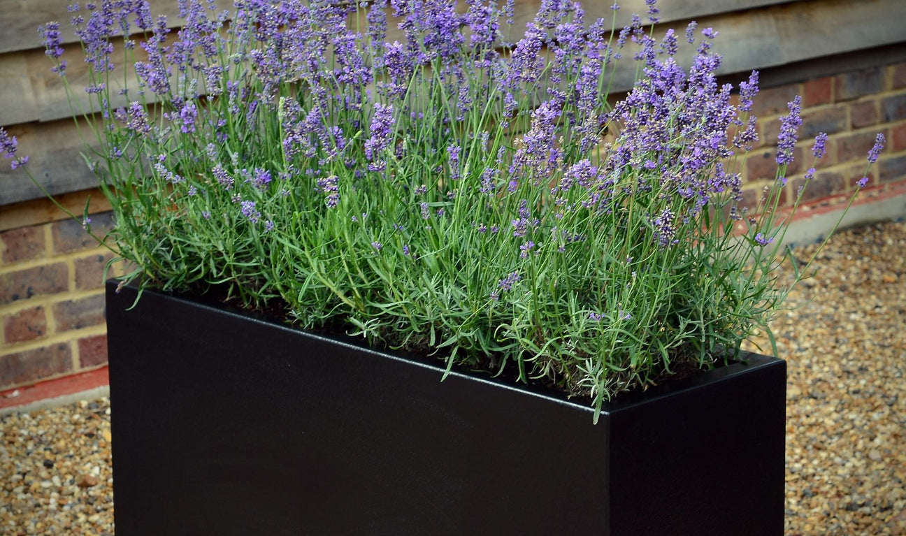 Black Garden Planters - Cedar Nursery - Plants and Outdoor Living