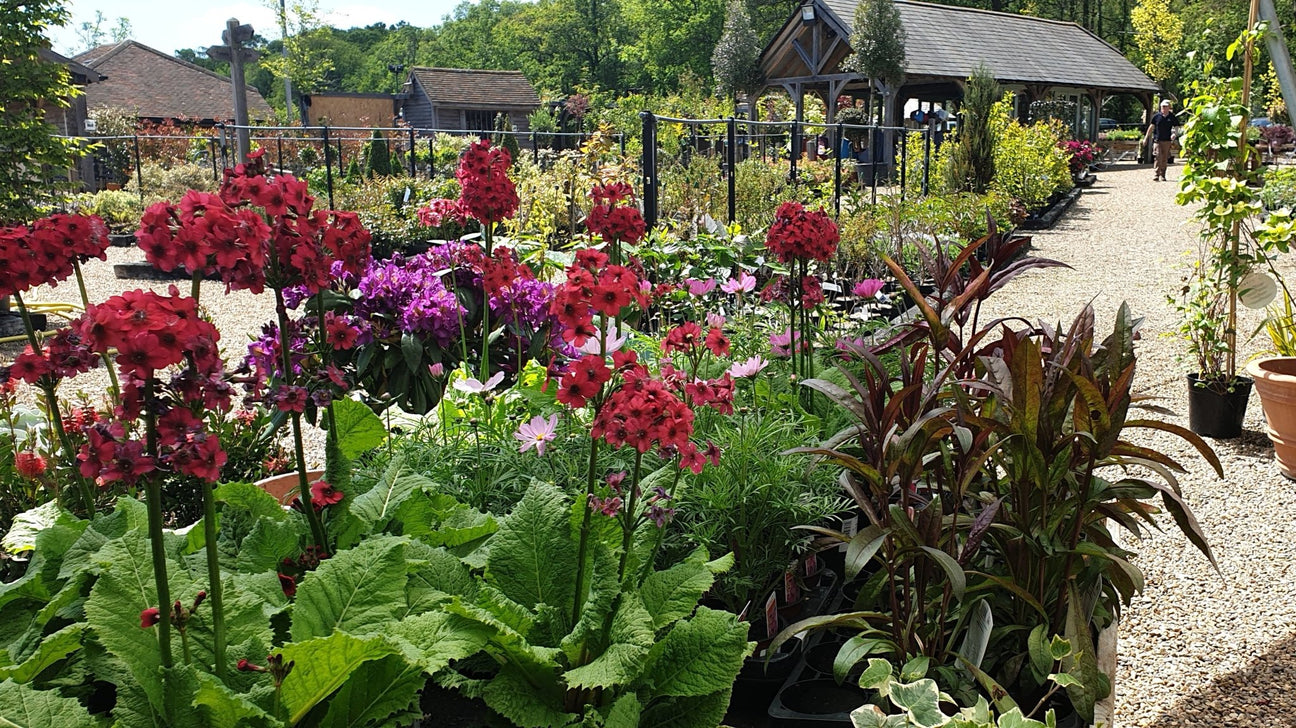 Compost & Fertiliser - Cedar Nursery - Plants and Outdoor Living