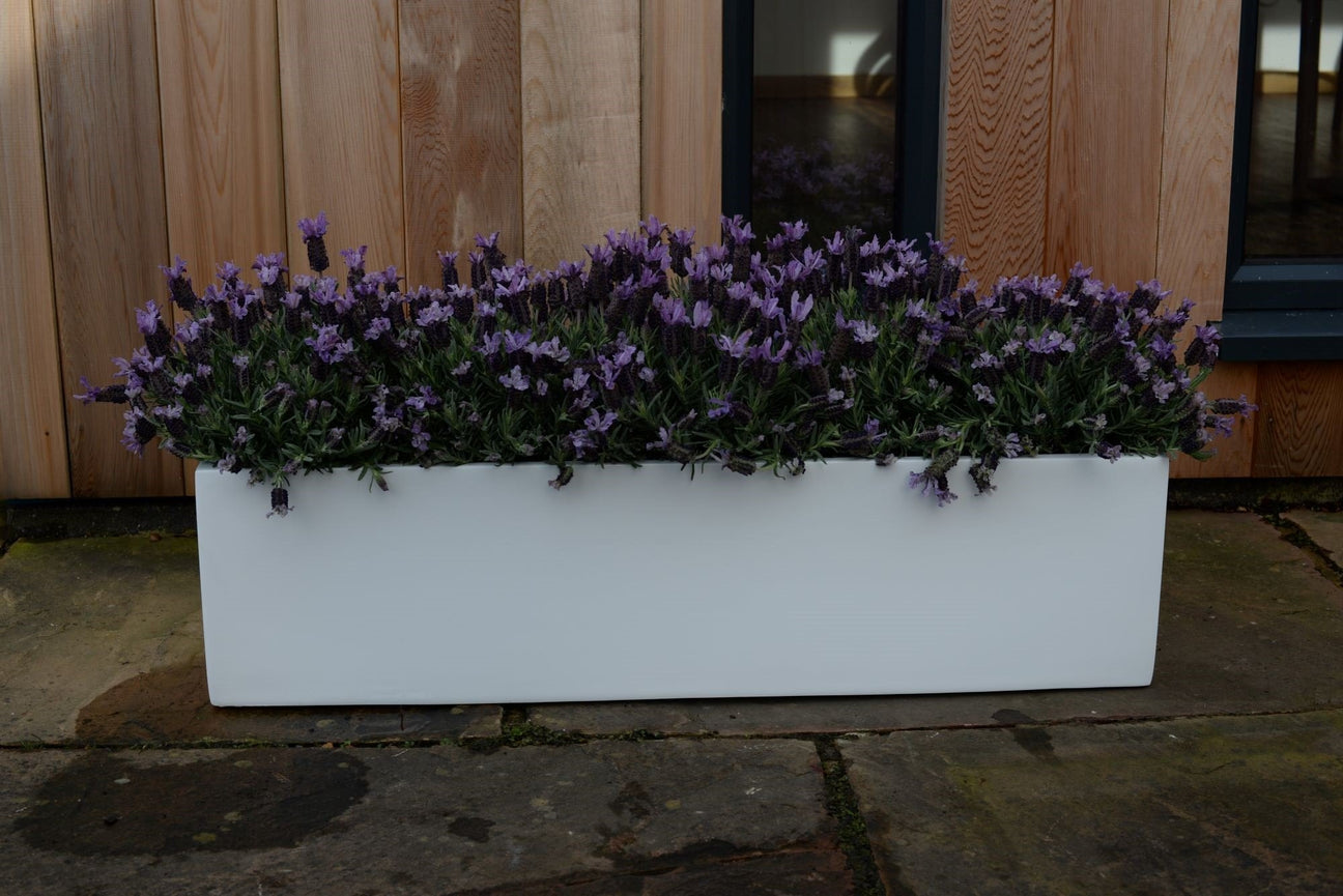 White Garden Planters - Cedar Nursery - Plants and Outdoor Living