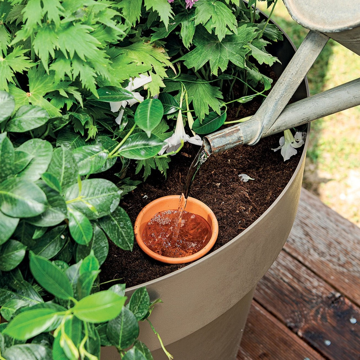 Terracotta Aquado Irrigation System