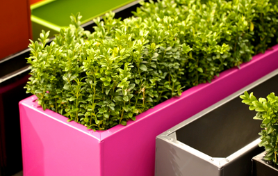 Powder-coated Planters - Made Bespoke In The UK Collection Image