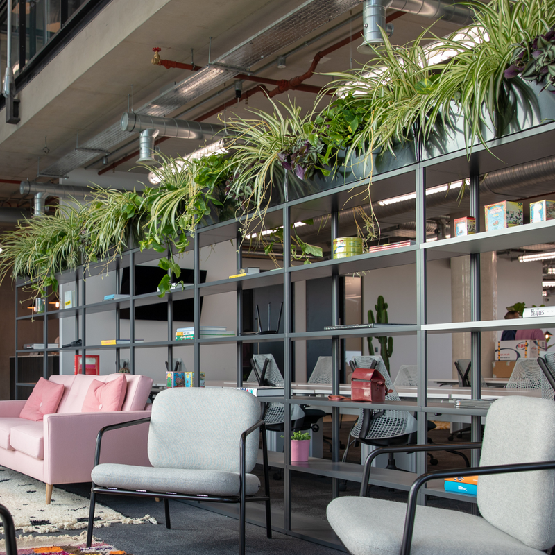 Planters in a commercial office