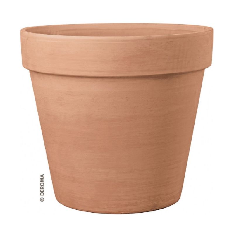 Buy Terracotta Magno Planter online from Cedar Garden Nursery, Surrey