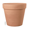 Buy Terracotta Magno Planter online from Cedar Garden Nursery, Surrey