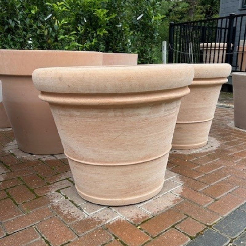 Terracotta Tuscany Double Rim XXL Planter