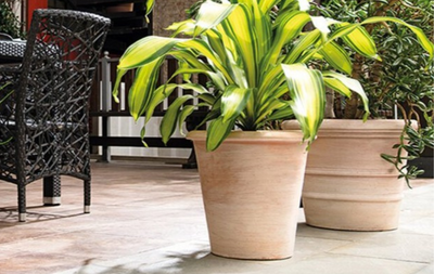 Terracotta Planters - frost resistant Collection Image