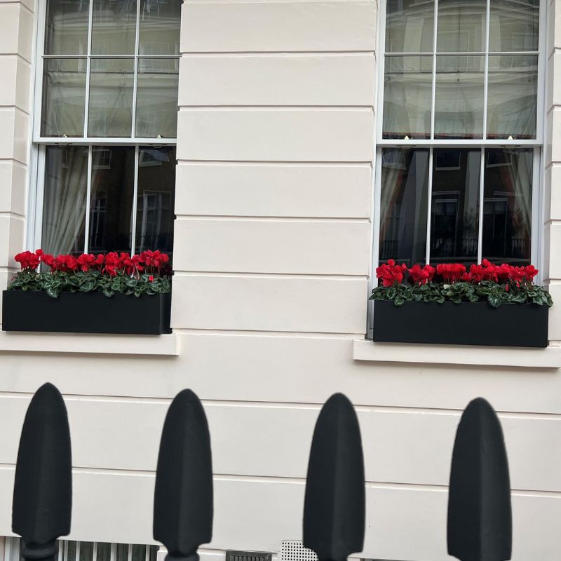 Window Boxes