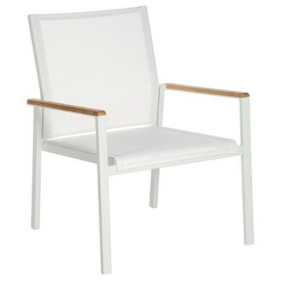 Aura Club Chair - Cedar Nursery - Plants and Outdoor Living