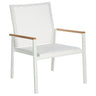 Aura Club Chair - Cedar Nursery - Plants and Outdoor Living