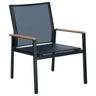 Aura Club Chair - Cedar Nursery - Plants and Outdoor Living