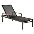 Aura Lounger - Cedar Nursery - Plants and Outdoor Living