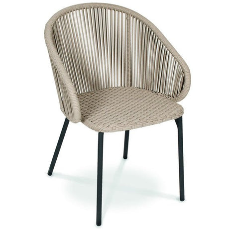 Basil Armchair - Cedar Nursery - Plants and Outdoor Living