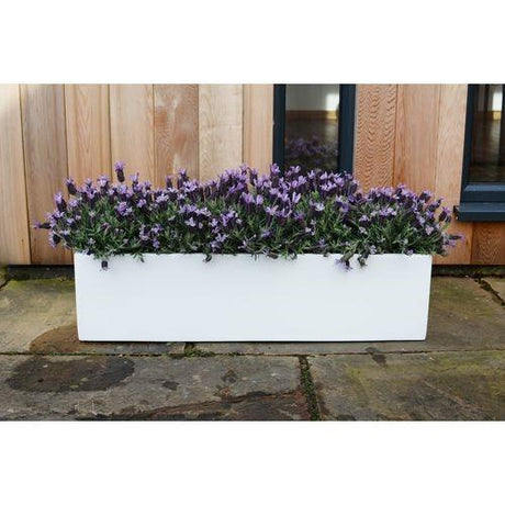 Bespoke Fibreglass Geo Planter - Cedar Nursery - Plants and Outdoor Living