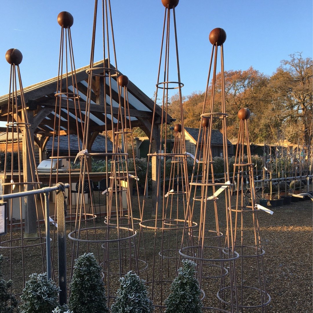 Cone Obelisk - Cedar Nursery - Plants and Outdoor Living