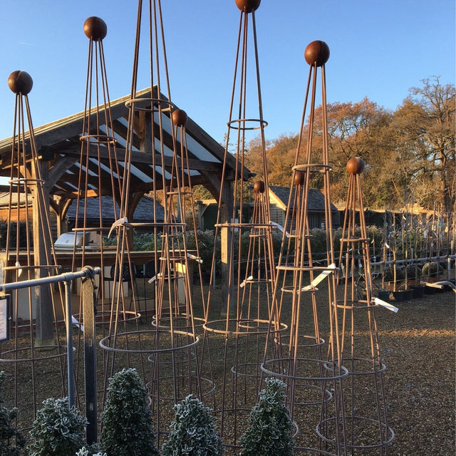 Cone Obelisk - Cedar Nursery - Plants and Outdoor Living