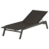 Equinox Lounger - Cedar Nursery - Plants and Outdoor Living