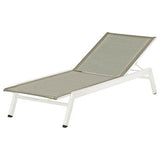 Equinox Lounger - Cedar Nursery - Plants and Outdoor Living