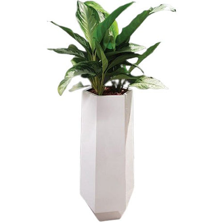 Fibreglass Dusk Planter - Cedar Nursery - Plants and Outdoor Living