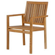 Linear Teak Dining Armchair - Cedar Nursery - Plants and Outdoor Living