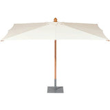 Napoli Parasol - Cedar Nursery - Plants and Outdoor Living