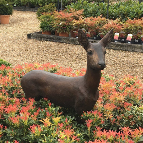 Roe Deer Sculpture - Cedar Nursery - Plants and Outdoor Living