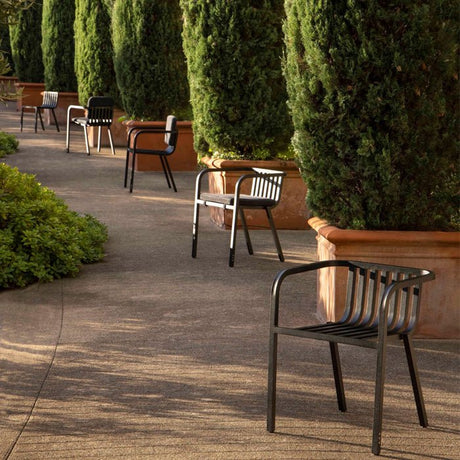 Sutra Armchair - Cedar Nursery - Plants and Outdoor Living