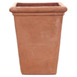 Terracini Camelia Square Planter - Cedar Nursery - Plants and Outdoor Living