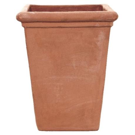 Terracini Camelia Square Planter - Cedar Nursery - Plants and Outdoor Living