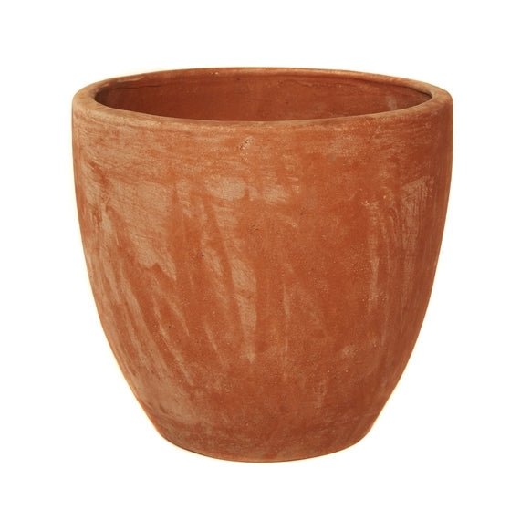 Terracini Egg Pot Planter - Cedar Nursery - Plants and Outdoor Living