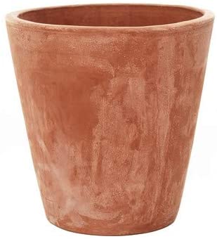 Terracini Long Tom Planter - Cedar Nursery - Plants and Outdoor Living