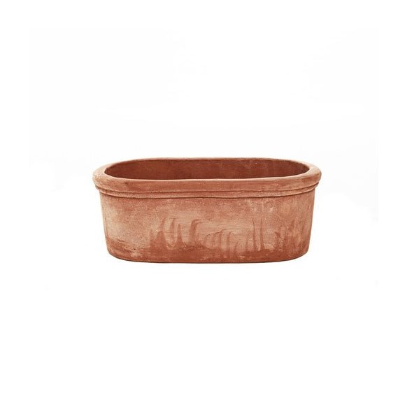 Terracini Oval Trough Planter - Cedar Nursery - Plants and Outdoor Living