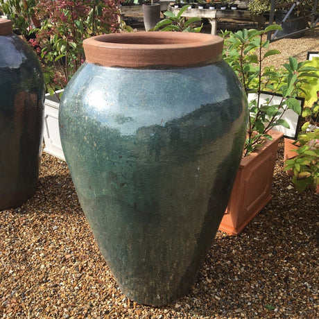 Yakuta Haikou Water Jar - Cedar Nursery - Plants and Outdoor Living